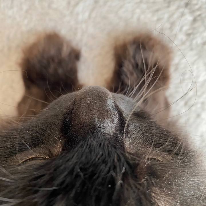 87d3702e ce50 45e4 bfe8 46702ab9d468 1643854068936