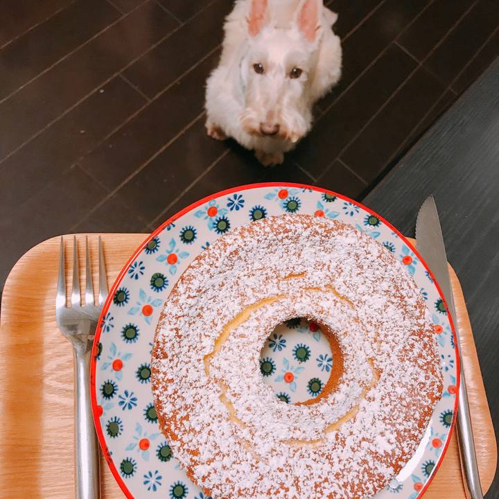 87d3b9ce d0cf 4272 923c 3d46b4601501 1587479669695