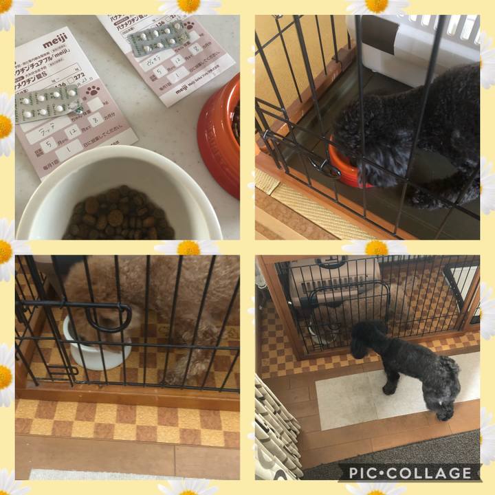 87d3c74a 9631 4a55 8e59 c816af7f73b5 1588286641638