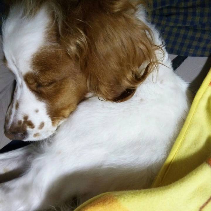 87d3d9e0 86dd 4865 8624 fd74be44c6a8 1513772463693