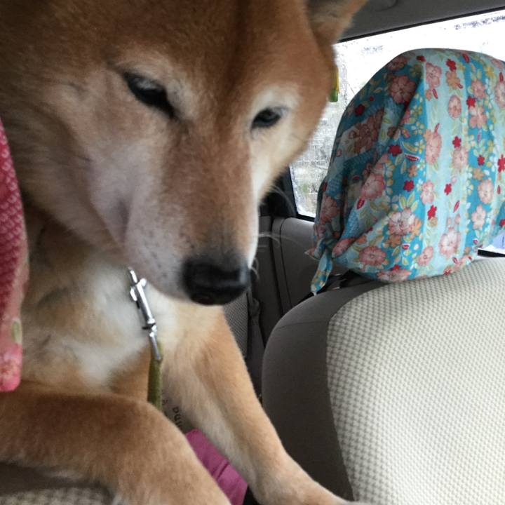 87d40100 d5b6 4faf 86fa 9876cb6168e5 1585441609287