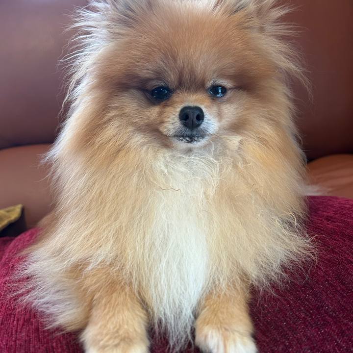 87d40ab7 1270 4e00 bac3 c336cd5e2b77 1762124496241