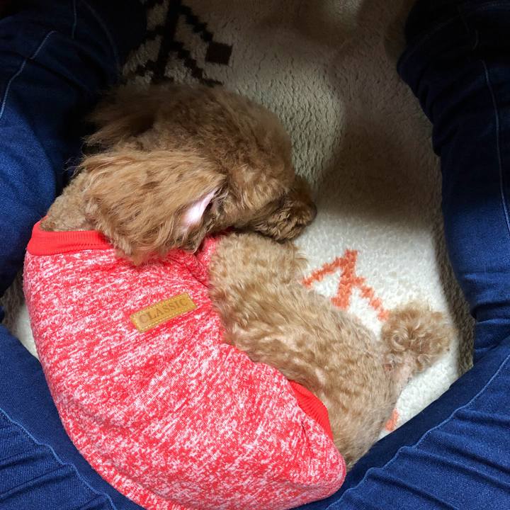 87d40d79 d8d3 4665 87bf c7f5306d9bc7 1553910467922