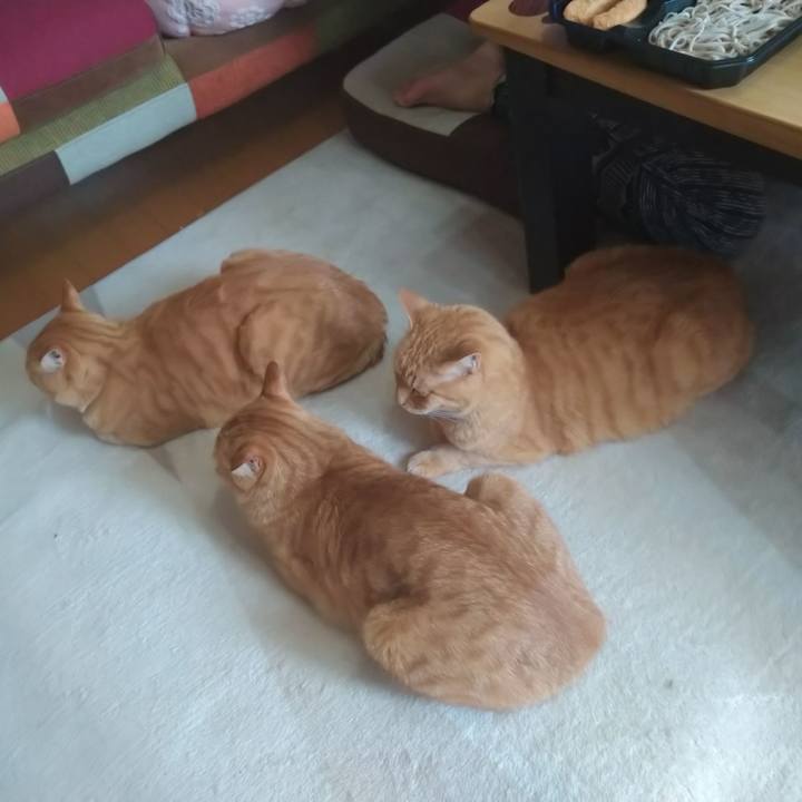 87d437ef 560b 4cbc 9d42 601e7949995b 1589441173240