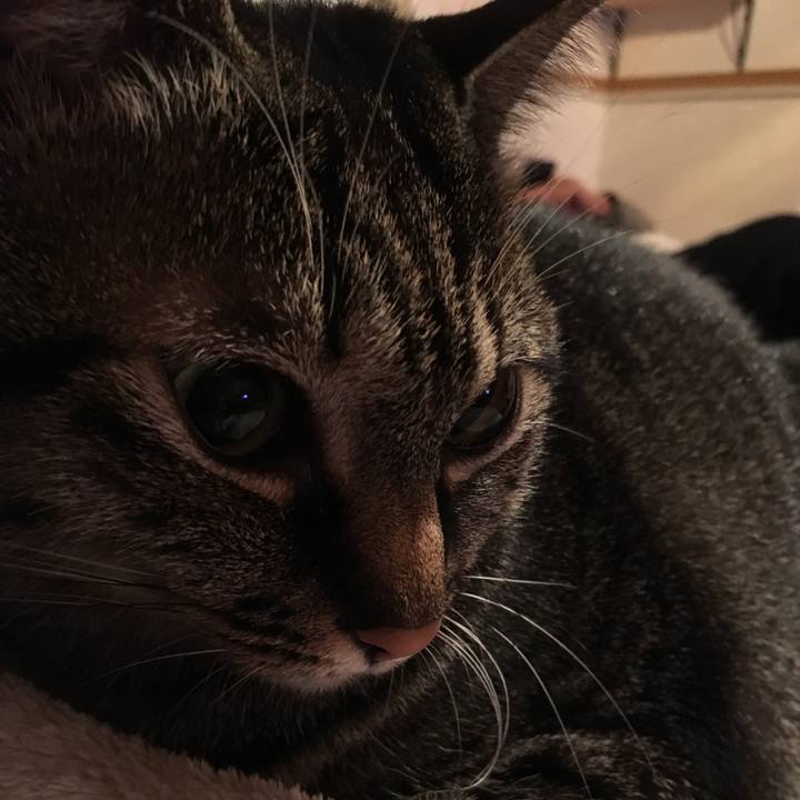 87d441ac 0338 49f0 af7e d3864bf7991a 1545650853724