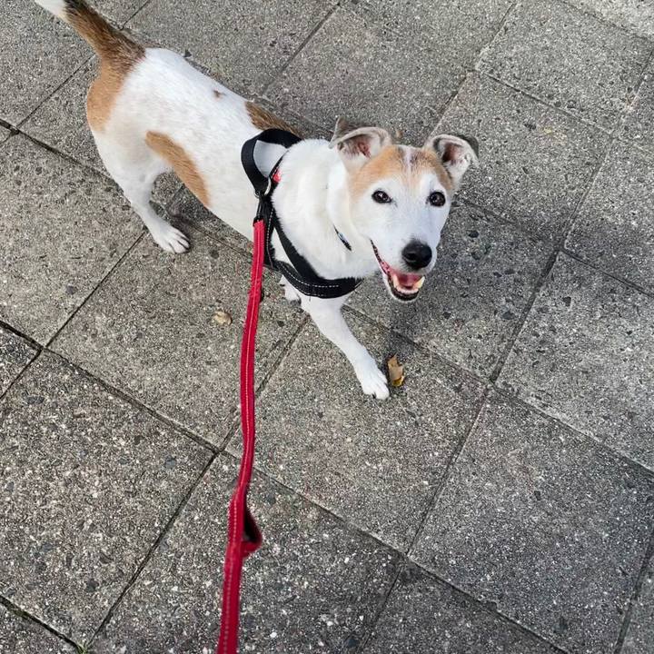 87d49aa8 195f 4fac a46f 18c64055f4fe 1601169545683