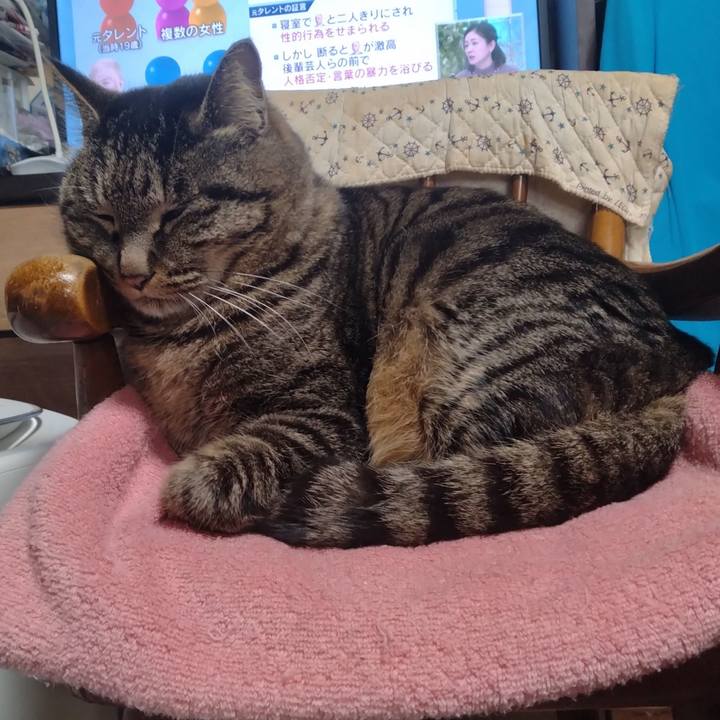 87d4b6d8 420b 4a0c aa22 a739a8b2bb9c 1706167289150