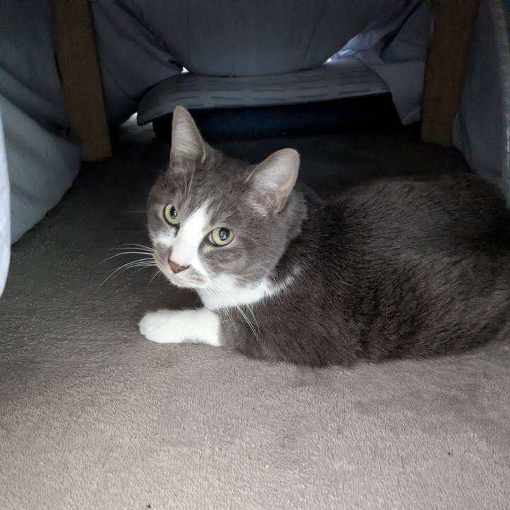 87d4c2a8 50a1 42fa 9348 53dfd24b7406 1771121697831