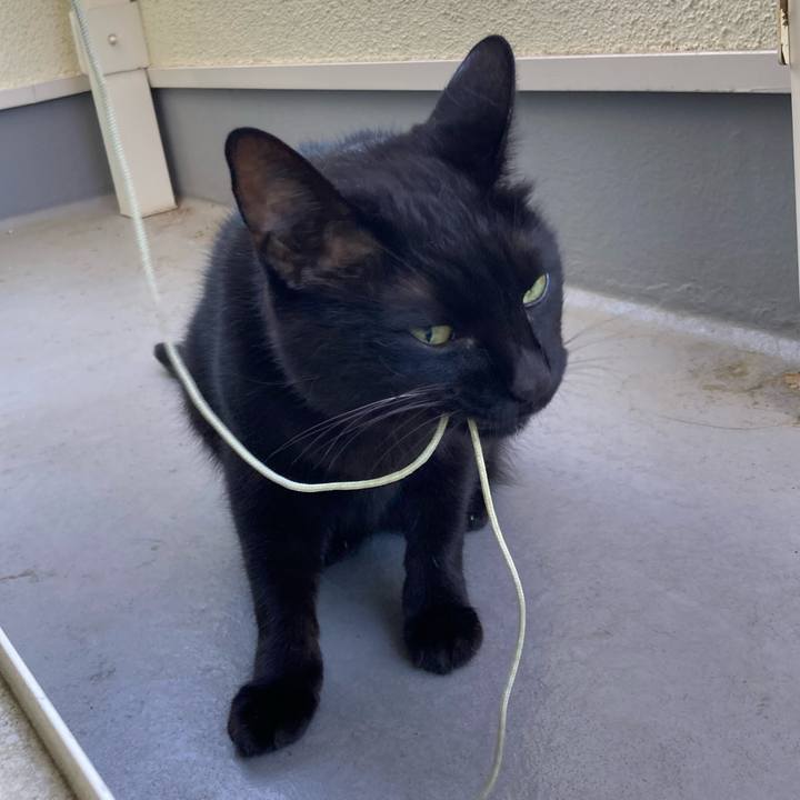 87d4e66d cc00 4532 90d7 20d66ec981d6 1759362915505