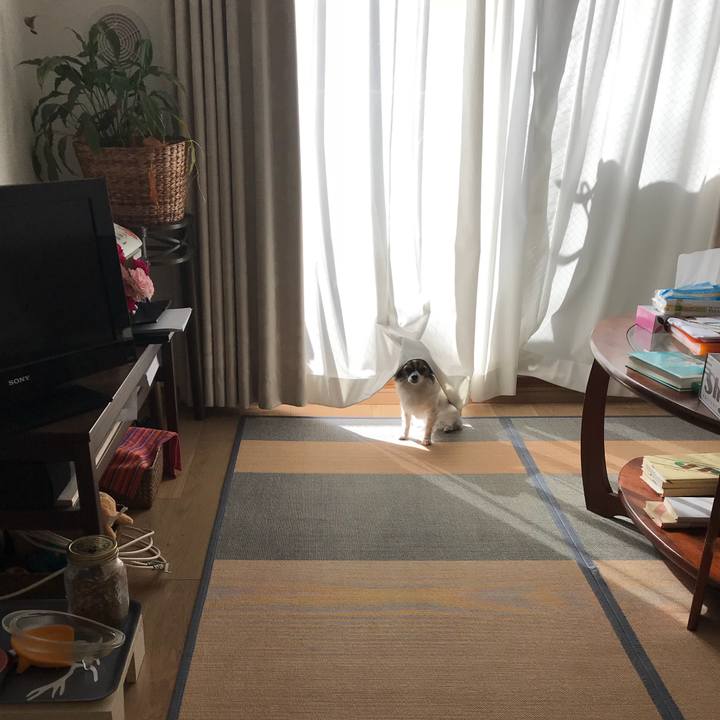 87d5111e 1e1f 4d19 b0dd 0696ce5ec0c3 1514459955590