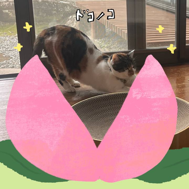 87d52b28 2d44 440c 9d9a 780456a41ae7 1772007256422