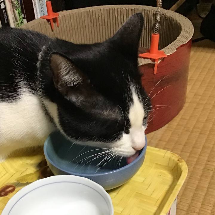 87d536f1 b8e6 48a5 8c44 8c406dab354d 1639692514148