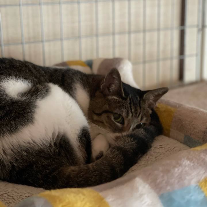 87d59bf3 a10a 429b b7dc 7ee1faf2e9ed 1661296732572