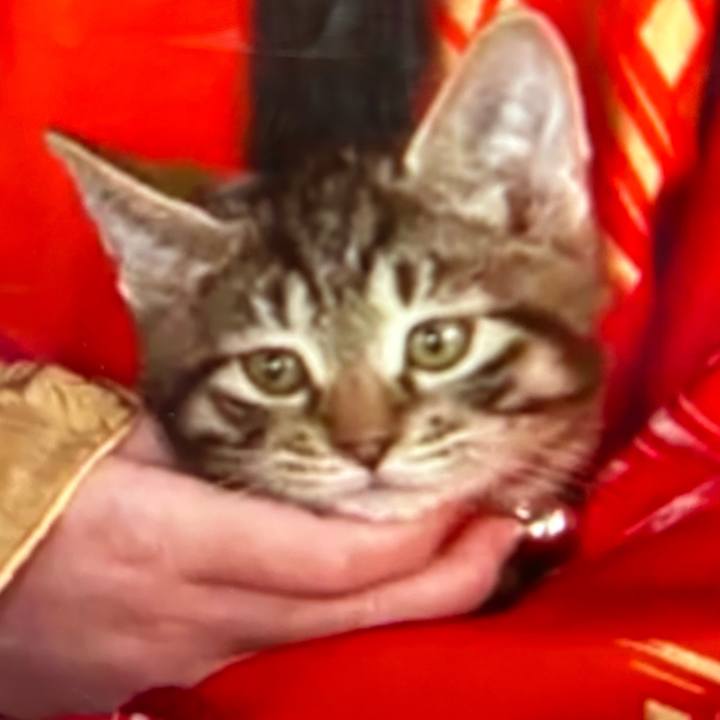 87d5a979 27c5 470a 9c25 43dd70a5fa58 1732710074022