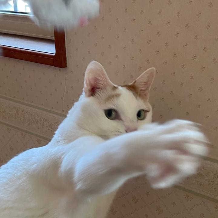 87d5ec28 b9c9 4ed5 8049 5dc960b39ec1 1644589501090