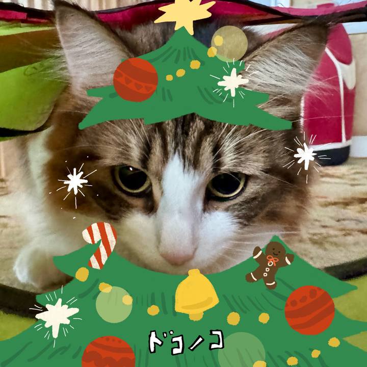 87d5fe6a 8086 49b3 9622 0dfd50e8964c 1764201573895