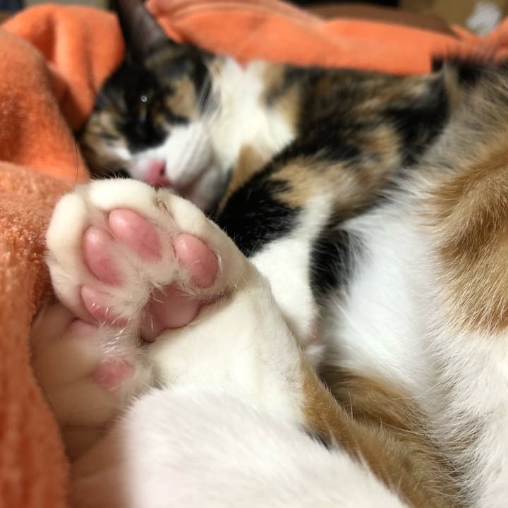 87d64099 b437 4563 88e6 2fc8a501ba31 1577100691788