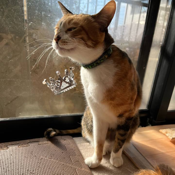 87d64c26 67b7 476f bd4e 15b6cb6dfd13 1773101533744