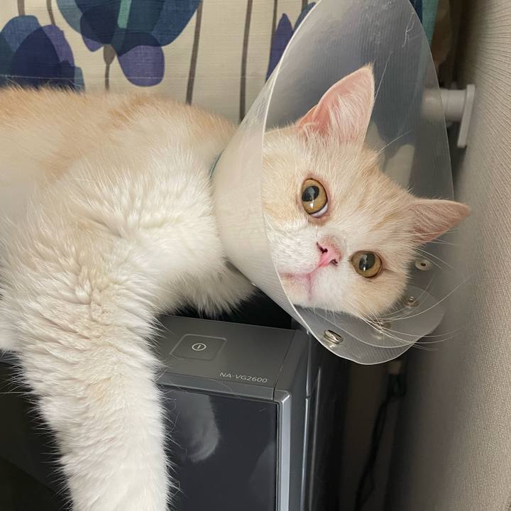 87d658c5 3cdc 4d78 b943 0e05eeae4e46 1757947957797