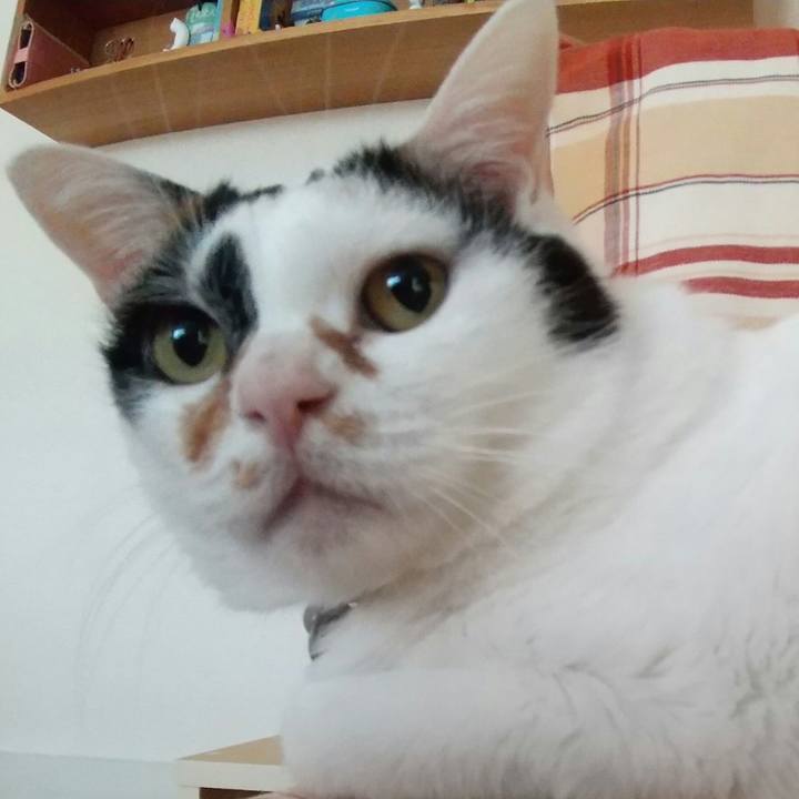 87d6992a 4419 4d60 a3fd efa0ab91f6e6 1613229570255