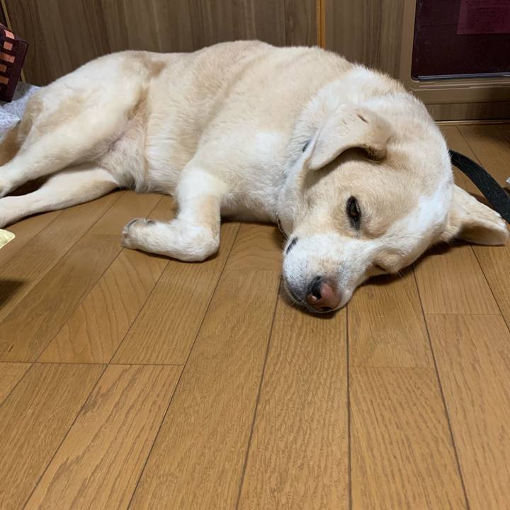 87d724e8 e20d 43d0 b72e b65d18a84448 1566315663709