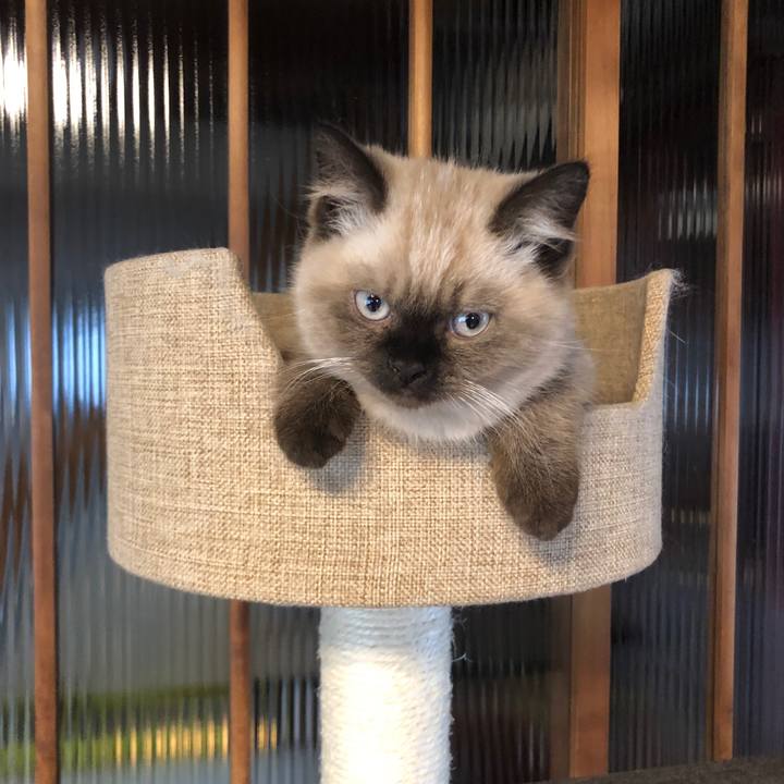 87d7389f f71b 4076 b0a8 10405aa6fea7 1587630985745