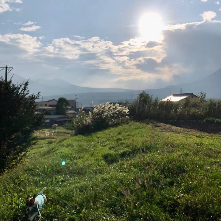 87d744d7 2bc8 4d54 8693 c1503dbb9d6b 1570100322782