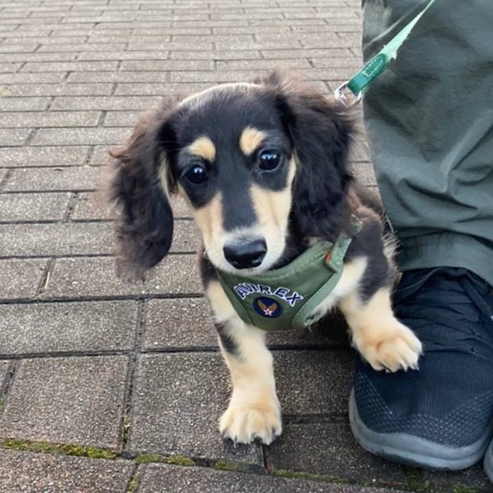 87d755a7 1eee 44f4 9126 4884e73d80c4 1669078298197