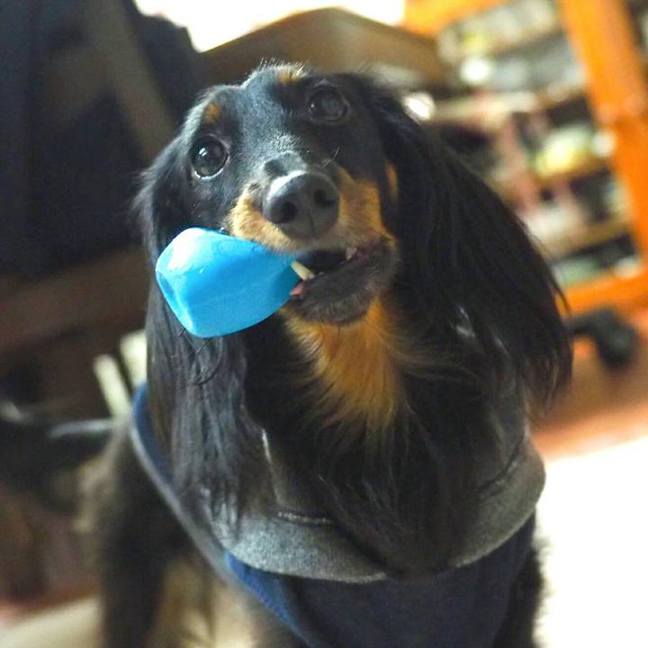 87d77708 6794 4fa4 9686 87e9cdd6ccd3 1513302731793