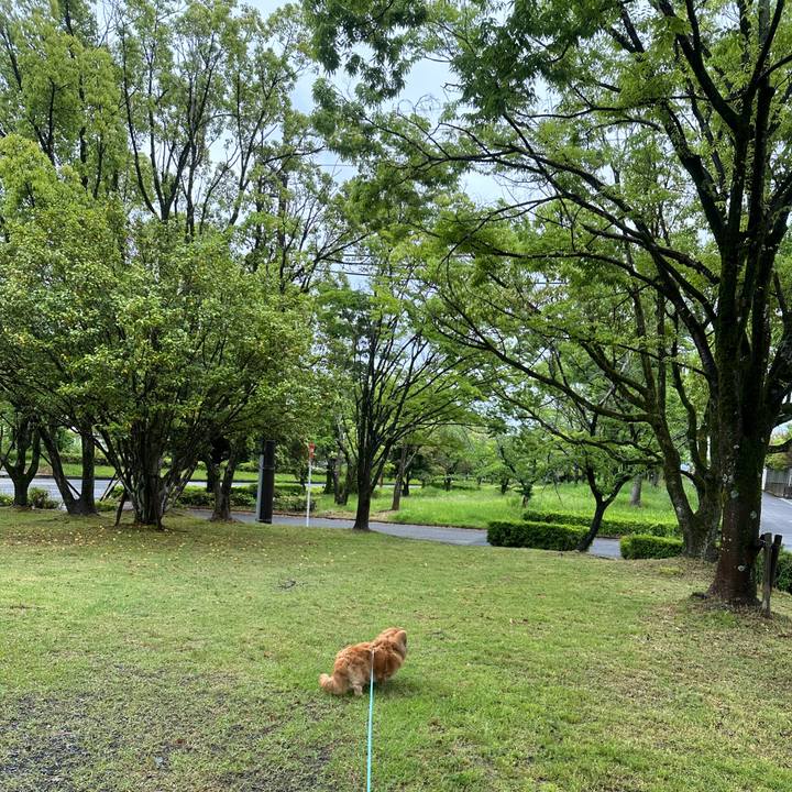 87d77ee3 ec65 4e0d a581 187097f7c4b8 1748208084925