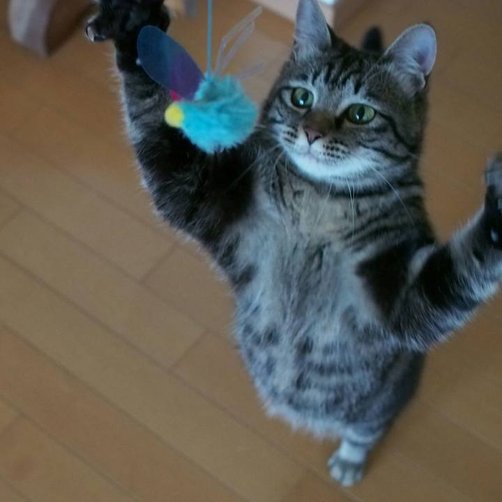 87d77f12 556d 4366 8bb2 9f5cf9f4acb4 1527418616455