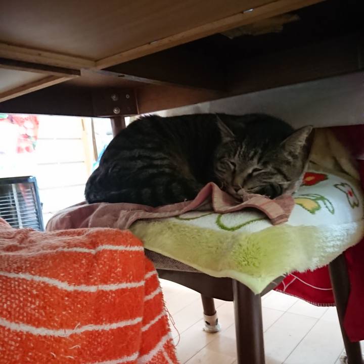 87d7a82e 917b 4f88 9063 cecff99990fd 1650228757563