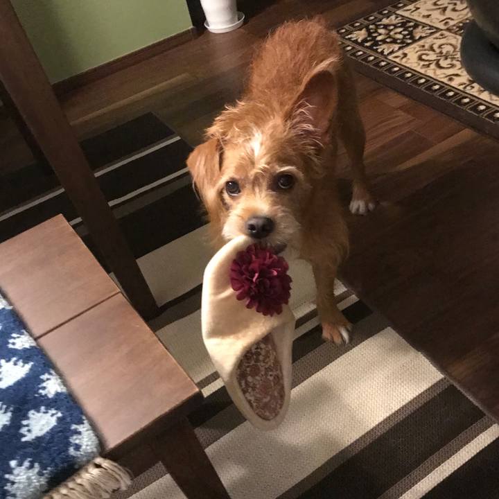 87d7adc1 56f8 45bc b54c b7a7ddf5d35e 1601859606982