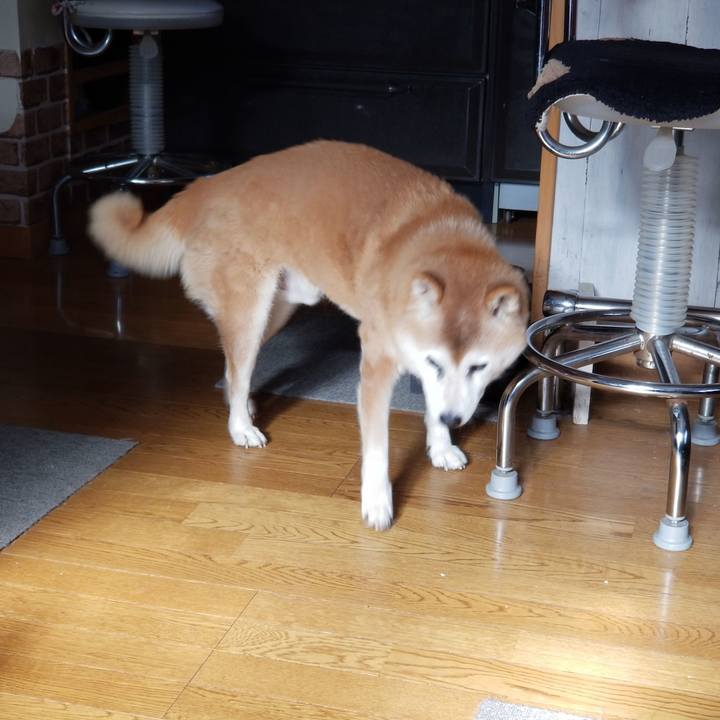 87d7da1b c1f4 4568 a32f 657c4d43644a 1736999442165