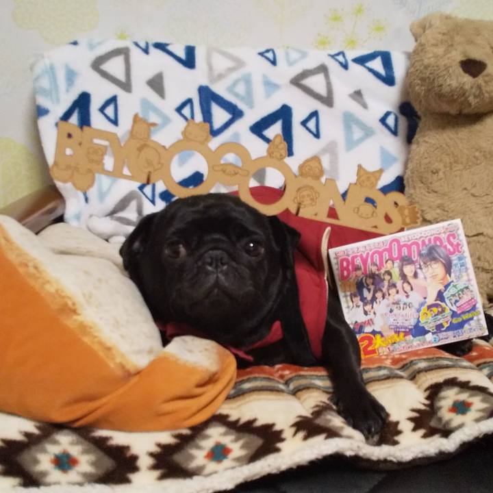 87d7dae6 d658 4537 acd3 5d611a44cc63 1577633188130