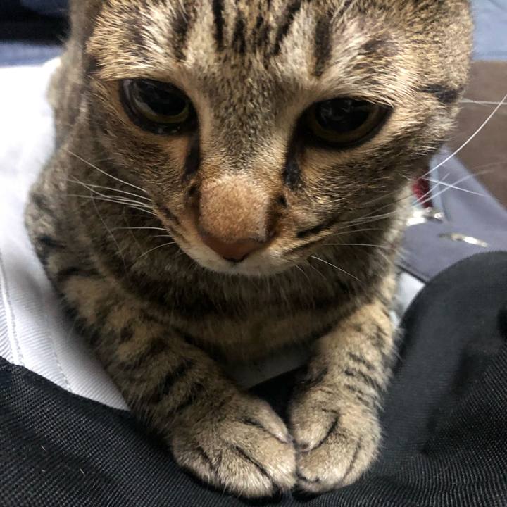 87d81ede 3979 4cdf 8e2a d6926a333bfc 1594883407862