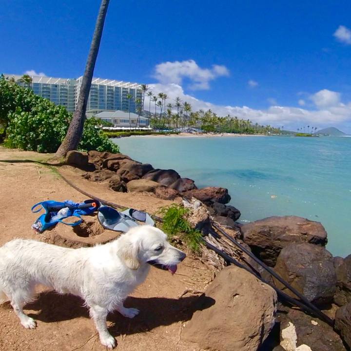 87d857d1 f2ec 4cb2 a6de 3251e12a2ab8 1563583378607