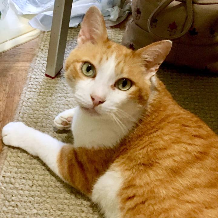 87d85ddc 4a26 43a3 a4bb c6e9925dfa60 1564128086163