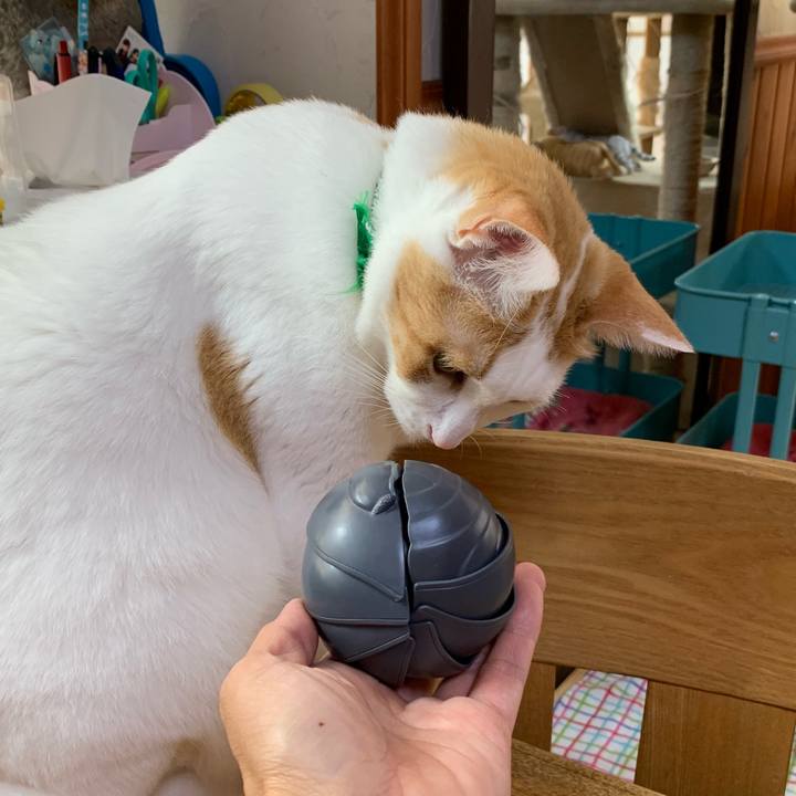 87d86b1f 7192 4dc2 bc14 9e42cdeb8aa5 1562455347377