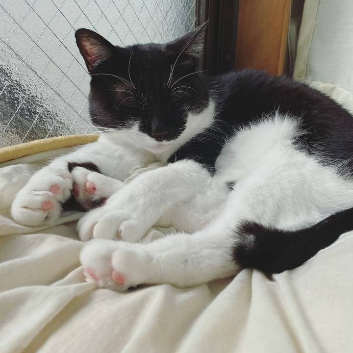 87d876cb 1362 4c67 a8e0 9935d2a198de 1614078114589