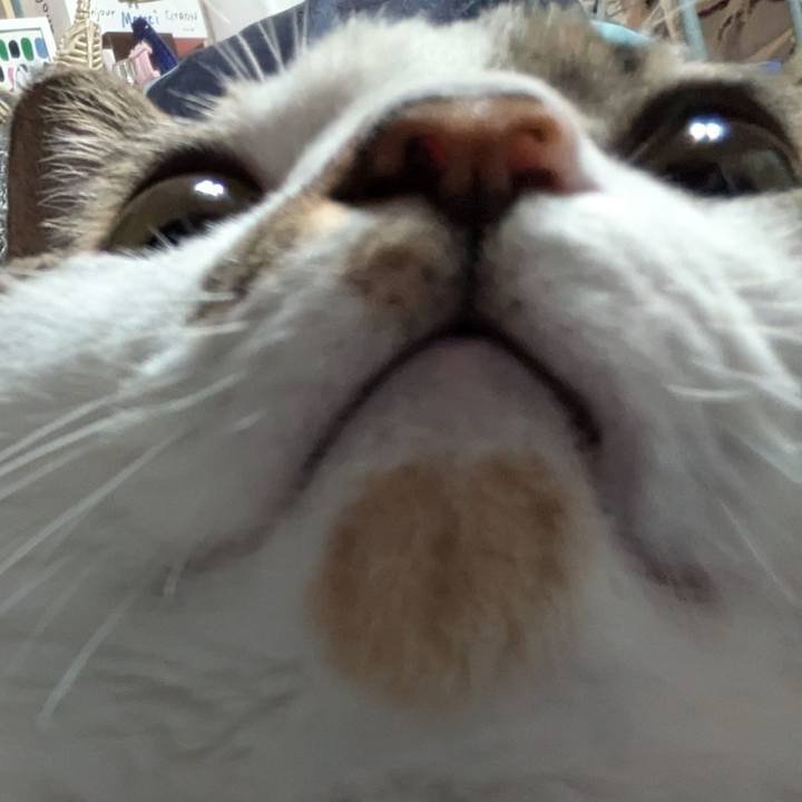 87d87cdb 809e 4a97 910c 8d5d3c80914f 1732278499092