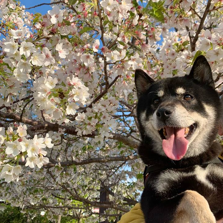 87d899e2 2fe6 425c 8a1c 47cc074c1033 1649430176624