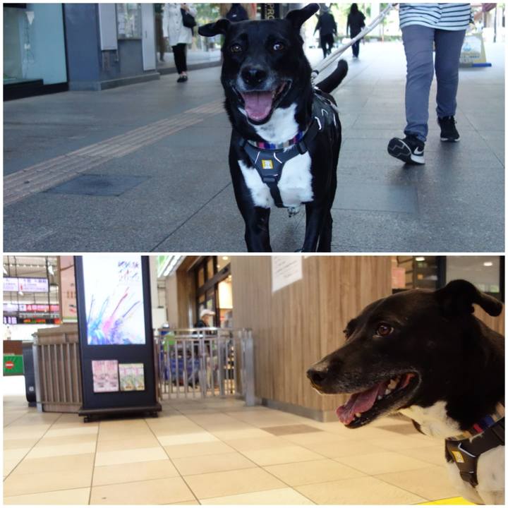 87d8bf50 b399 4320 9dcf 5cb39150d97a 1651712145620