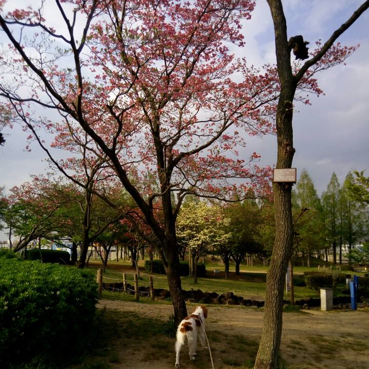 87d8f1cb 6e8f 4ad2 b2be 225b6265ea64 1523274539522