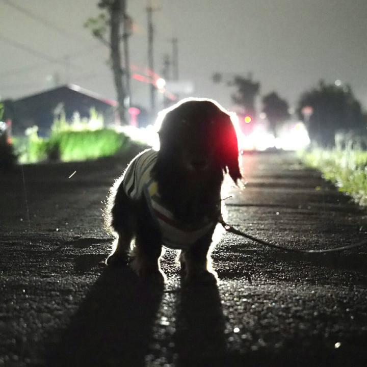 87d8f4d2 3928 4d60 8e5c fa5cd771d6a2 1593088789284