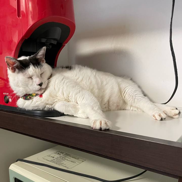 87d90d90 d552 4be3 beb1 74de9911083a 1662003660446