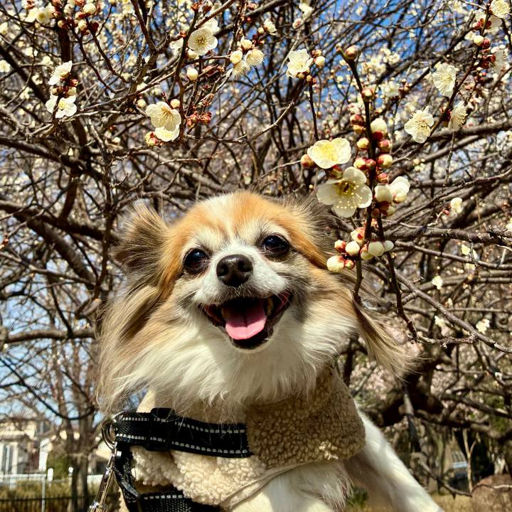 87d91160 8b2a 4354 b965 70add277825b 1771045630207