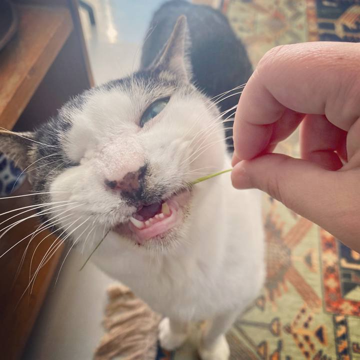 87d97f54 9c51 4f59 91b5 818ff54f4a54 1618961147002