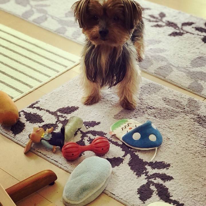 87d9a45d 72ee 4059 afa7 2644dd7ed514 1512259378617