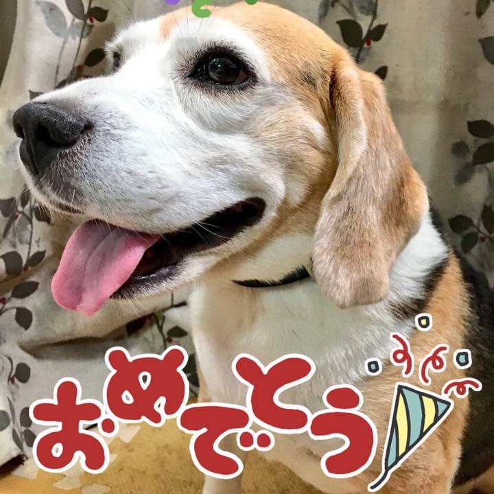 87d9d25e be8f 4dfd 9e33 57b80371739b 1535524827553